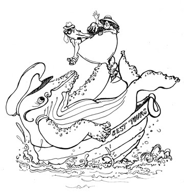 360x381 Banff Art Lines Mr. Humpback Whale Cartoon