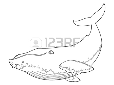 450x337 Illustration Of A Humpback Whale On White Background With Black