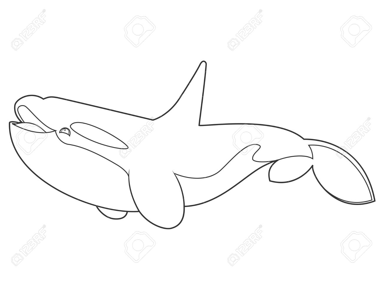 1300x974 Illustration Of A Killer Whale On White Background With Black