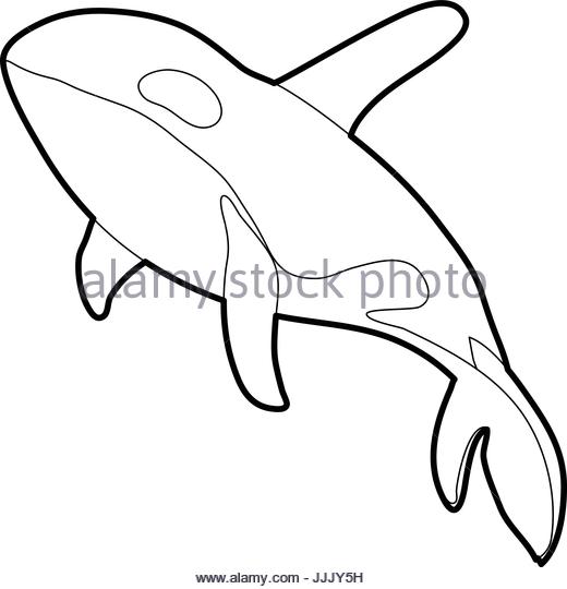 Whale Outline Drawing at GetDrawings | Free download