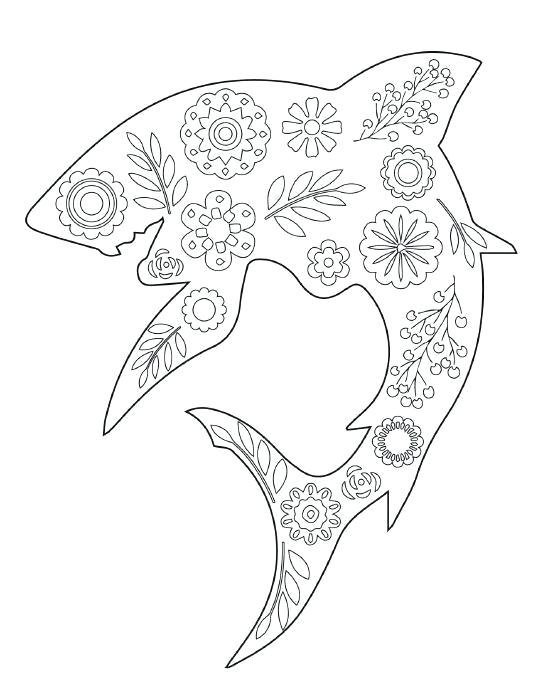 549x675 Shark Coloring Book Together With Coloring Pages Of Sharks Sharks