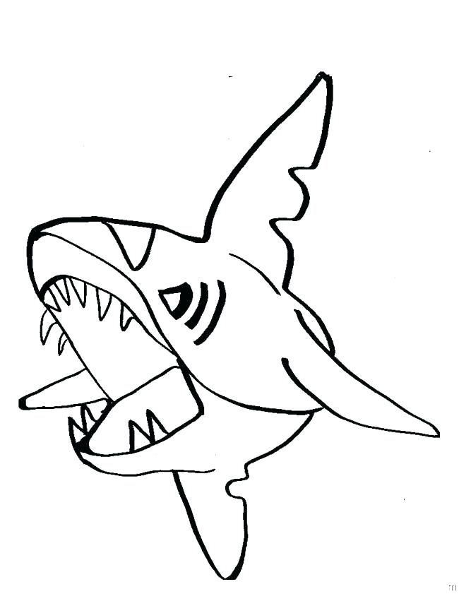 650x841 Best Of Shark Coloring Pages Images Great White Shark Coloring