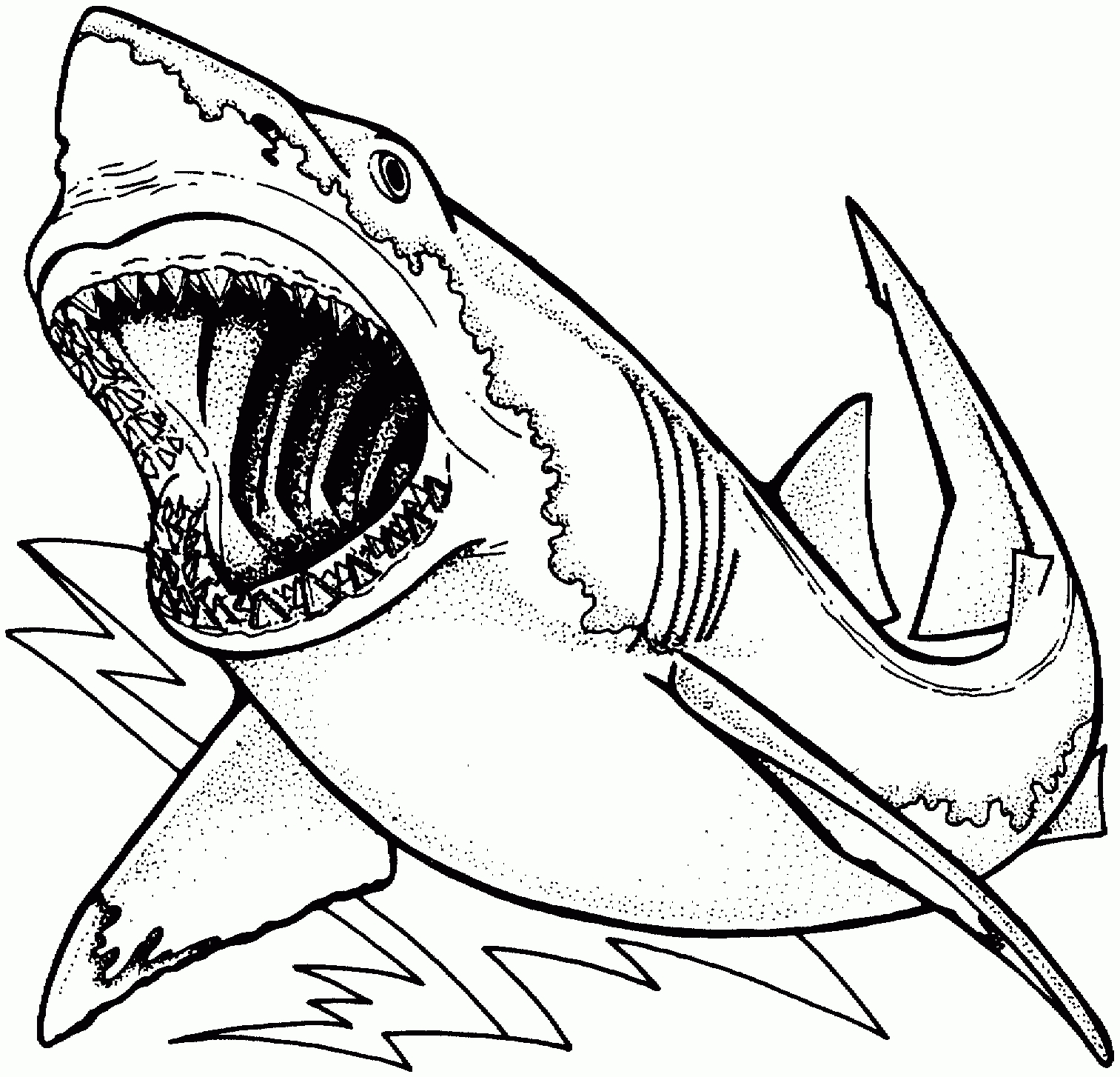 1513x1454 Unique Whale Shark Coloring Page Cool Ideas For You