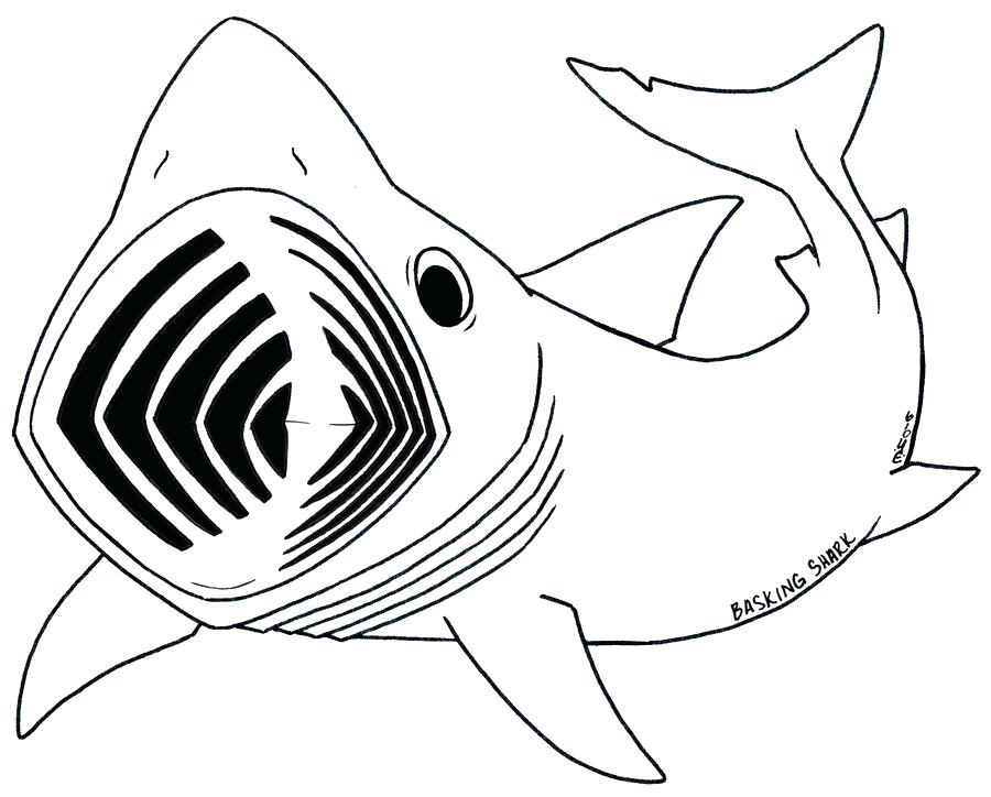 900x724 Whale Shark Coloring Pages Ocean Coloring Pages Coloring Books