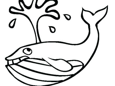 440x330 Whale Shark Coloring Pages Shark Color Pages Great White Shark
