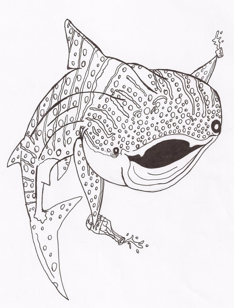 Whale Shark Drawing at GetDrawings | Free download