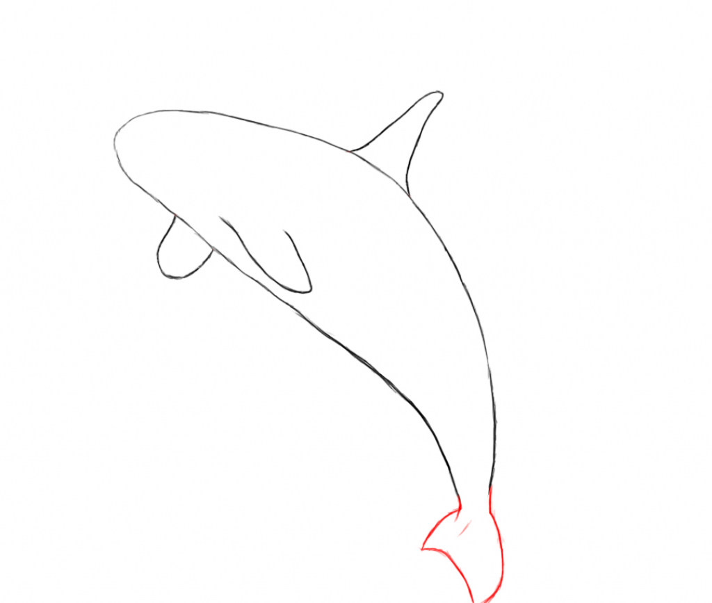 1024x867 How To Draw A Killer Whale Orca. Pin Killer Whale Clipart Sketch