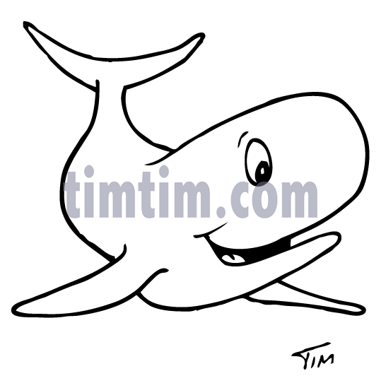539x549 Blue Whale Clipart Line Drawing