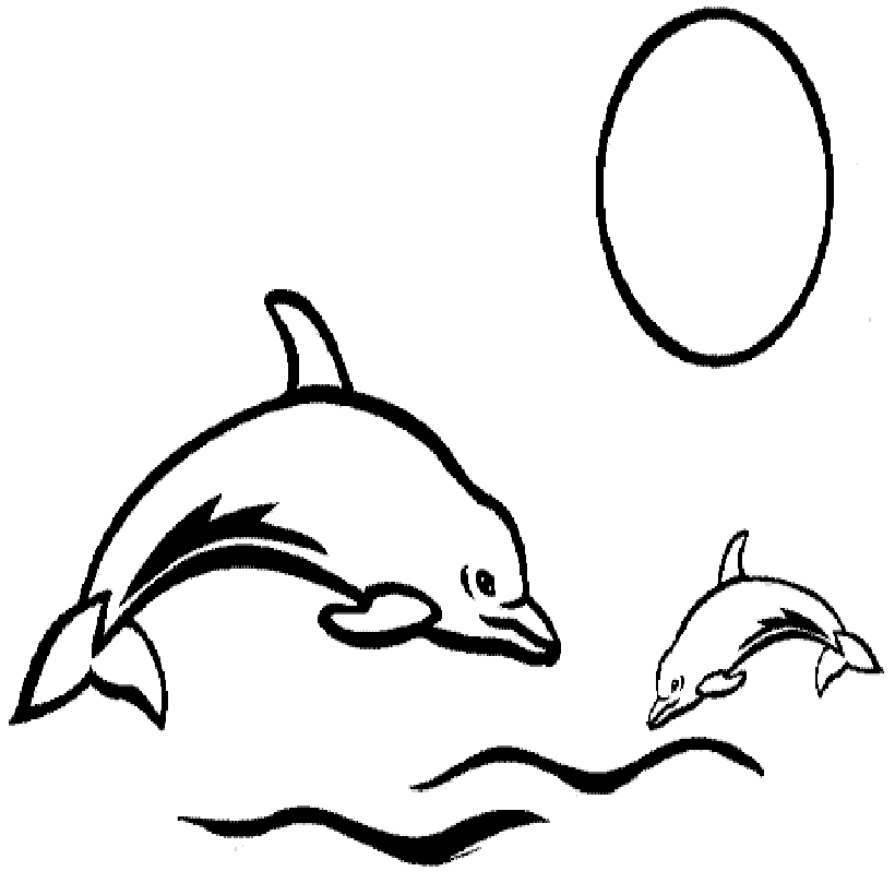 820x820 Killer Whale Drawings