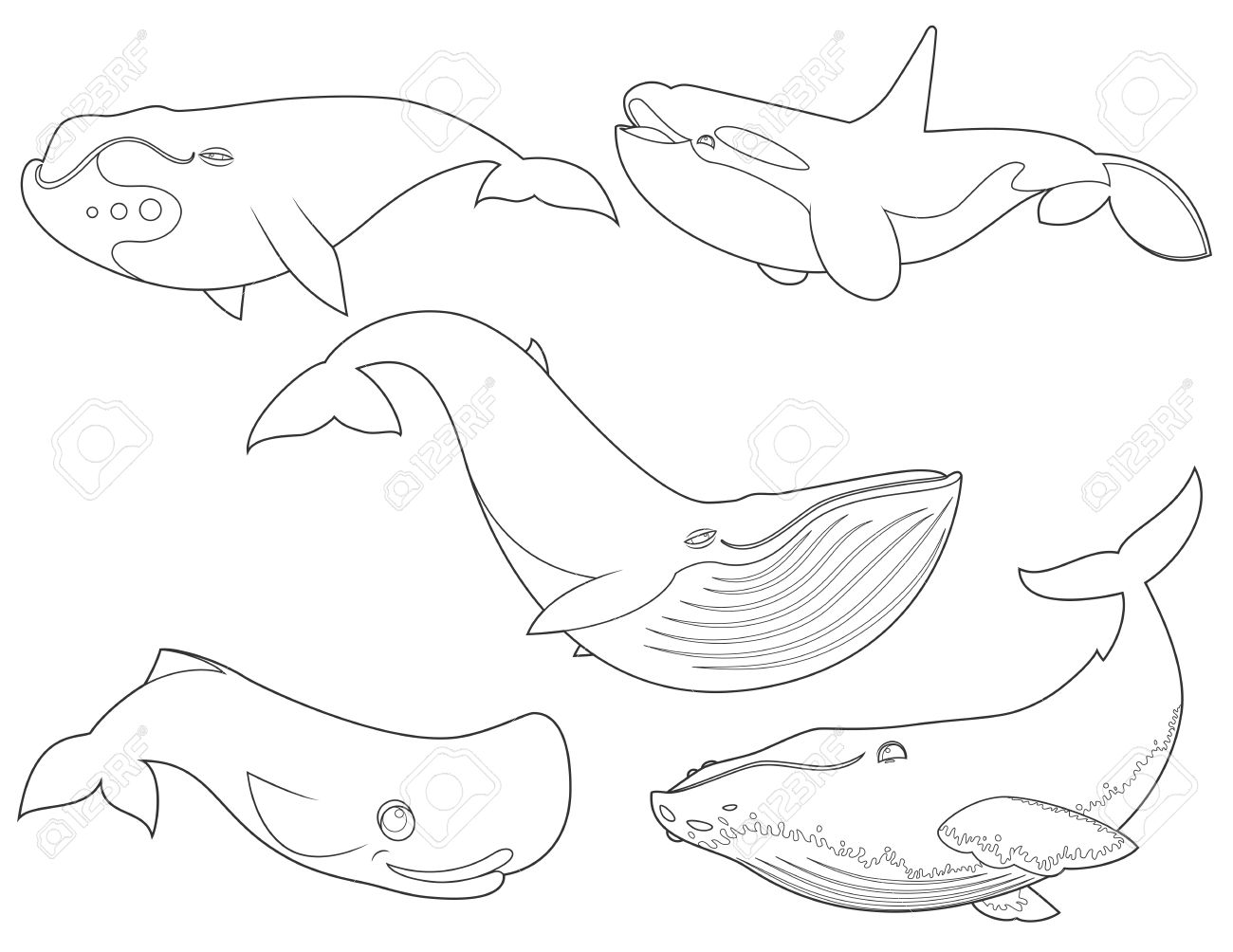 1300x1004 Outline Illustration Of Set Cartoon Cute Whales On White