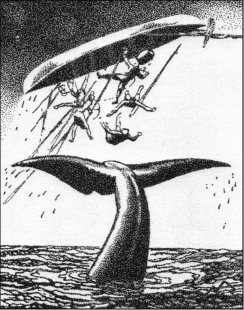 244x310 Penn Yan's Whale Tale