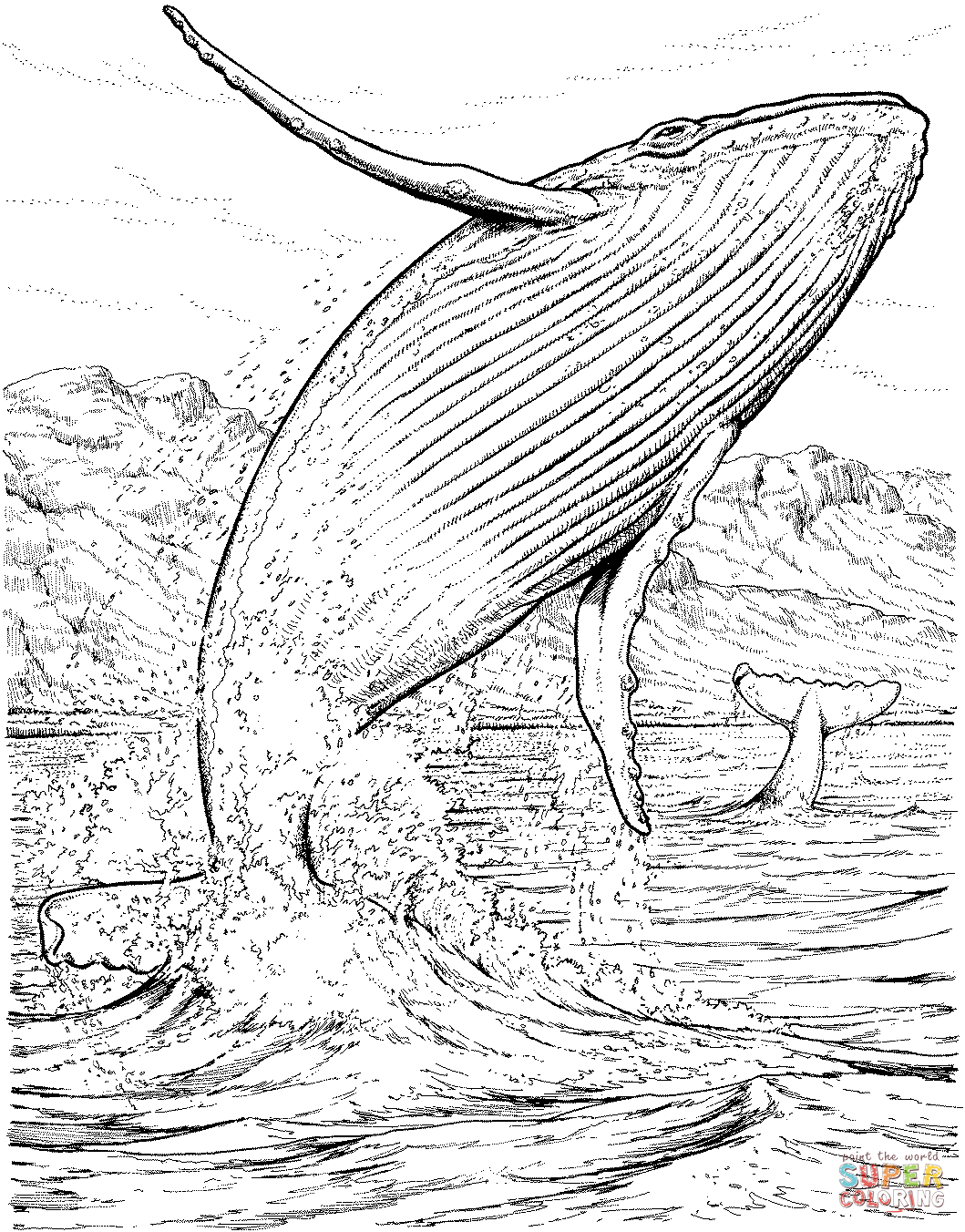 1059x1352 Perfect Blue Whale Jumping Out Of The Water Coloring Page Has