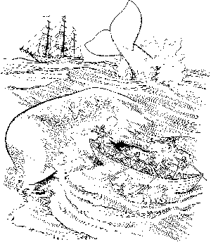 300x344 The Whalers' Heritage Project