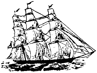 338x253 Web Designer