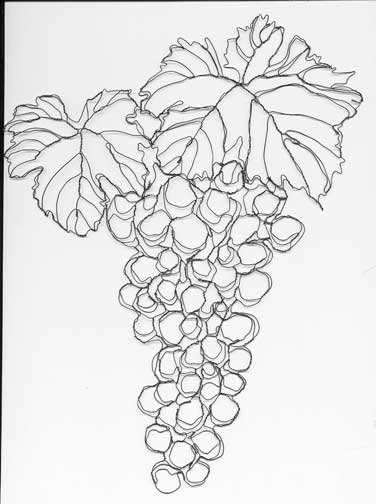 376x504 Wire Botanicals Wire Sculpture And Illustration