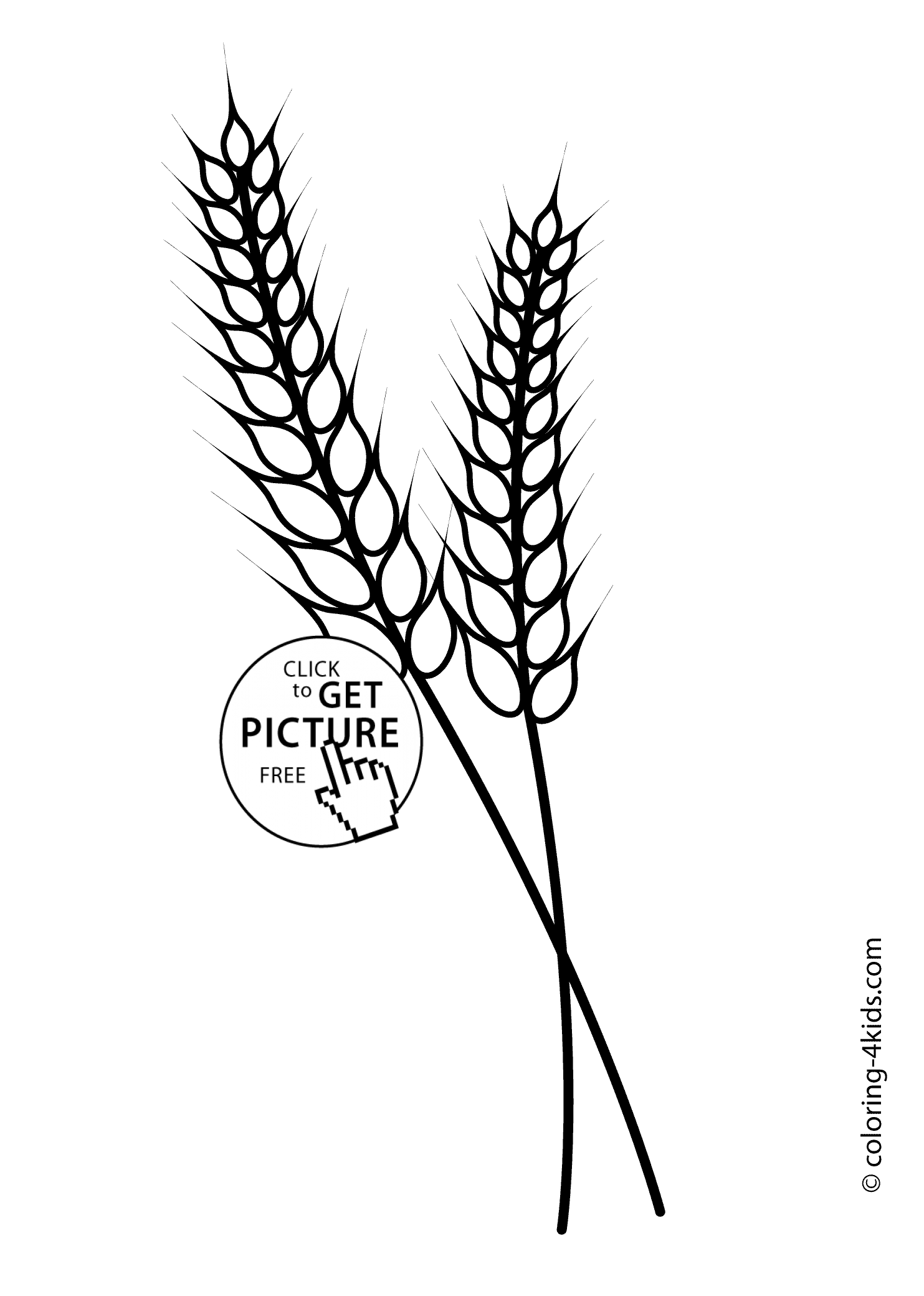 1483x2079 Wheat Coloring Page For Kids, Printable Free