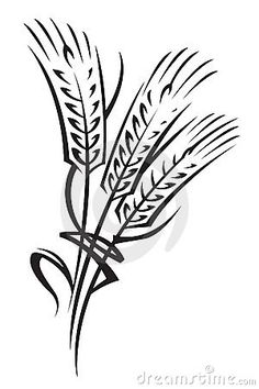 236x354 Drawings Of Wheat Stalks Black And White Drawing Of Two Stalks