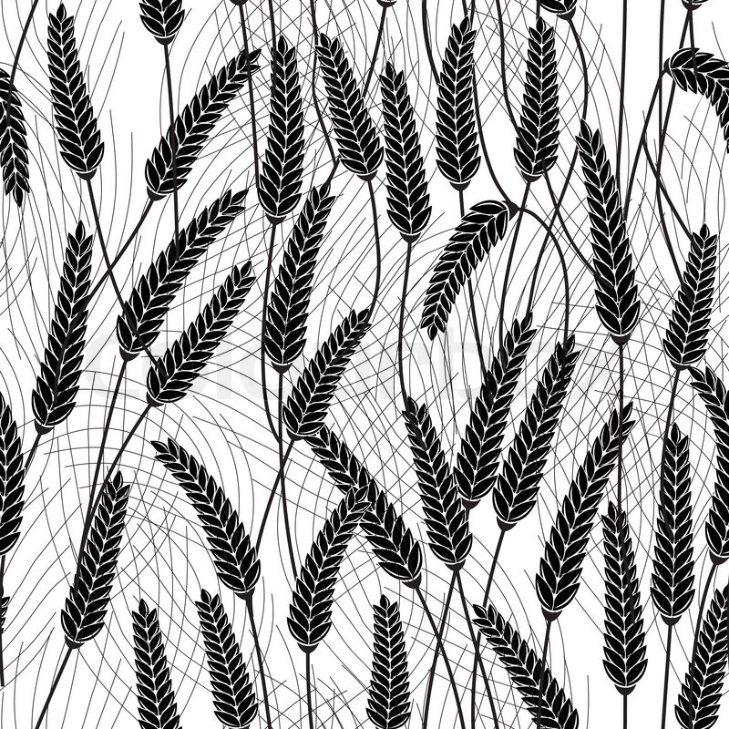 800x800 Ears Of Wheat, Barley Or Rye Seamless Cereal Background Black