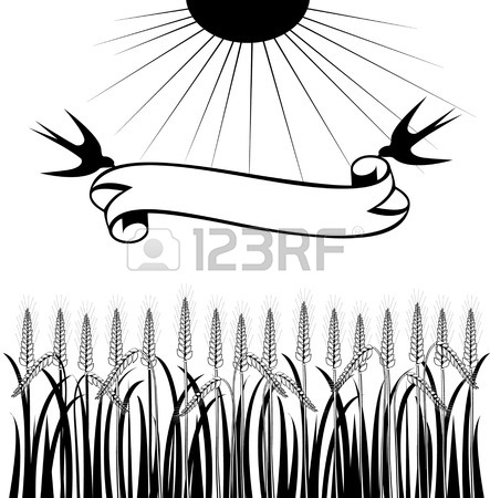 443x450 Paper Sticker On White Background Wheat Field Royalty Free