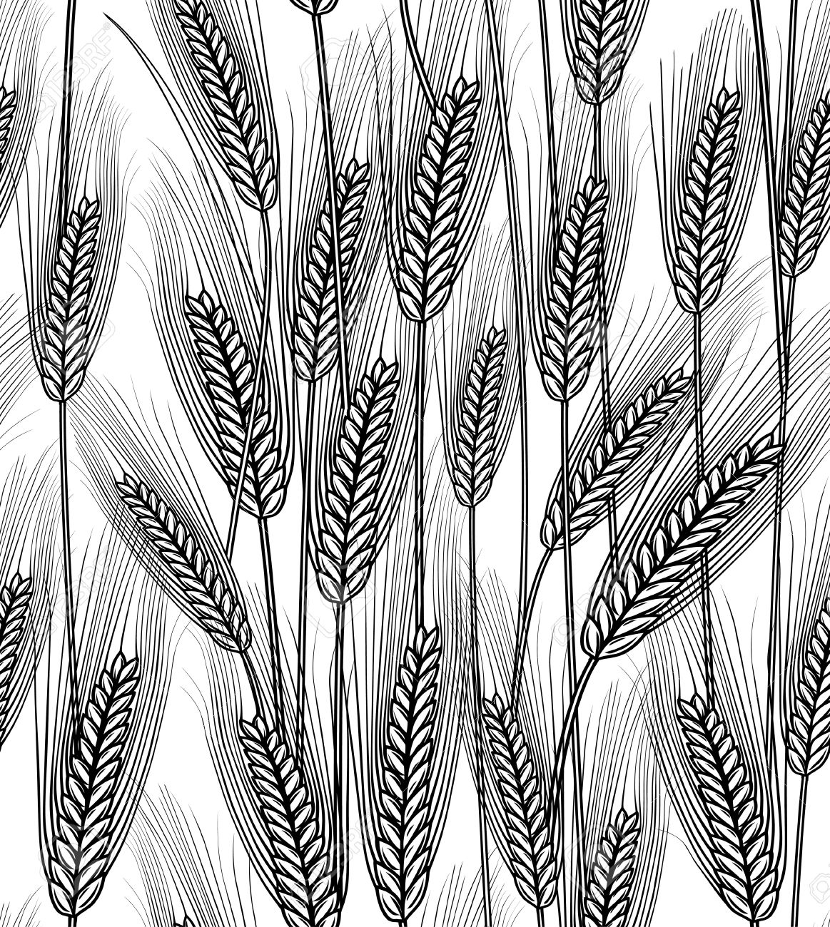 1163x1300 Vector Illustration Of Seamless Wheat Ears Background Royalty Free