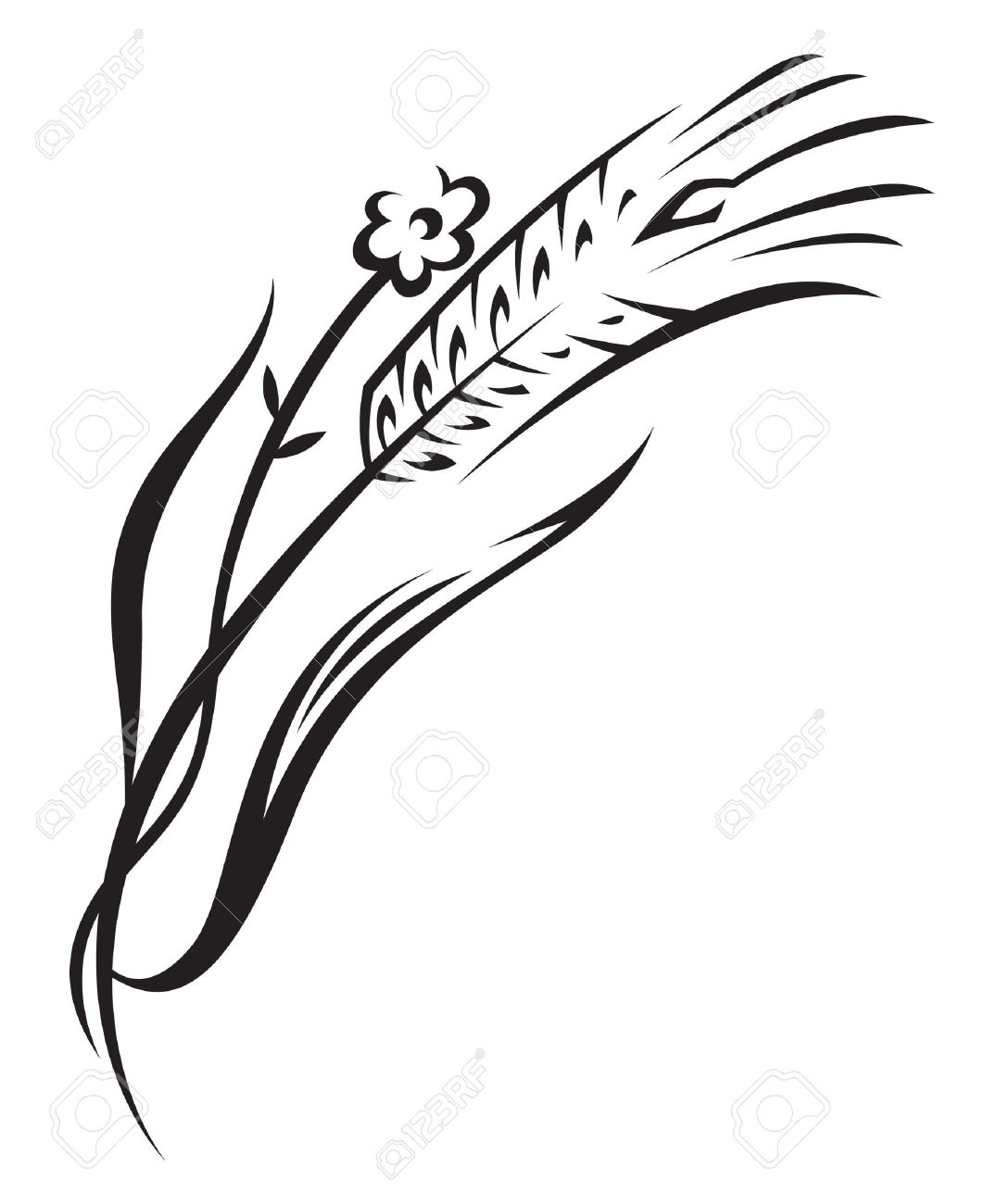 1063x1300 Wheat Royalty Free Cliparts, Vectors, And Stock Illustration