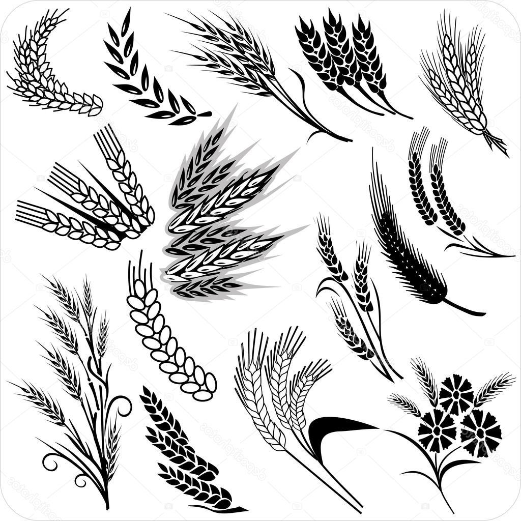 1024x1024 Top 10 Stock Illustration Wheat Ears Collection Library