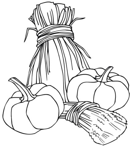 430x480 Wheat Sheaves And Pumpkins Coloring Page Free Printable Coloring