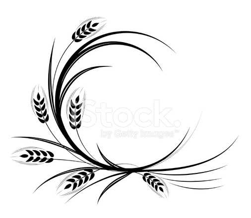506x440 Calligraphic Wheat Ornament Stock Vector
