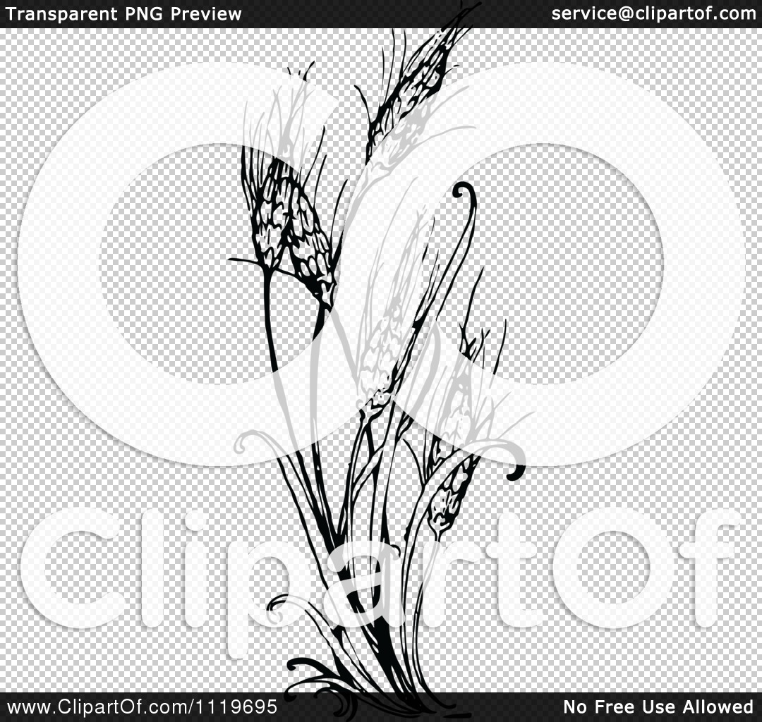 1080x1024 Clipart Of A Retro Vintage Black And White Wheat Plant