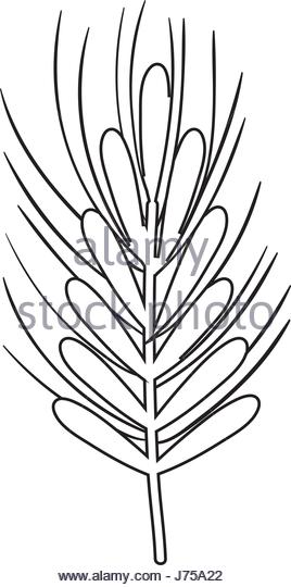 268x540 Harvesting Wheat Black And White Stock Photos Amp Images