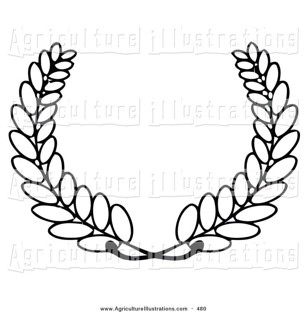 1024x1044 Royalty Free Wheat Stock Agriculture Designs