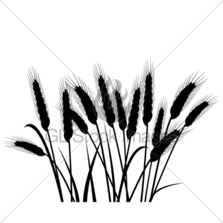 325x325 Vector Colorful Wheat Ears Gl Stock Images