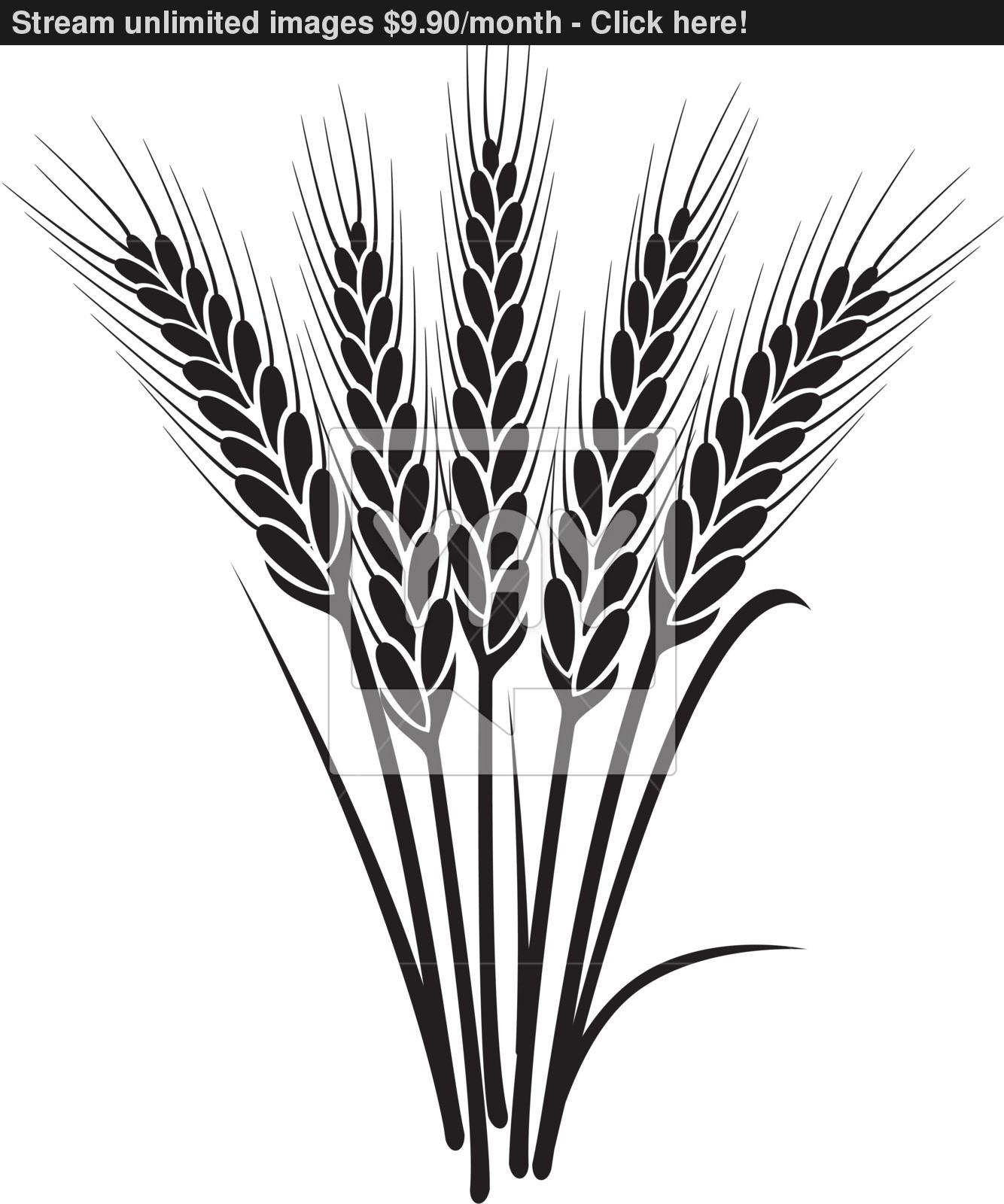 1334x1600 Vector Black And White Bunch Of Wheat Ears Vector