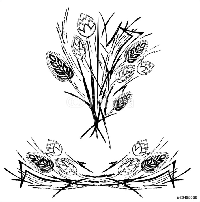 693x700 Wheat And Hop Sheafs Wall Mural We Live To Change