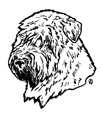 344x407 Order A Personalized Pet Memorial Stone