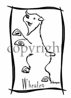 300x412 Soft Coated Wheaten Terrier