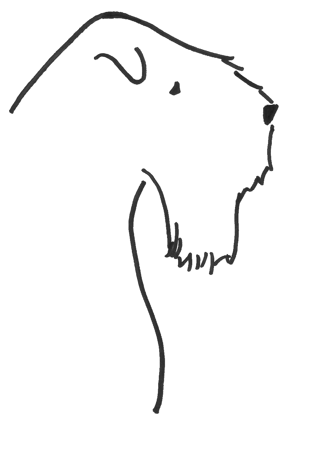 1088x1488 Frolic Wheatens