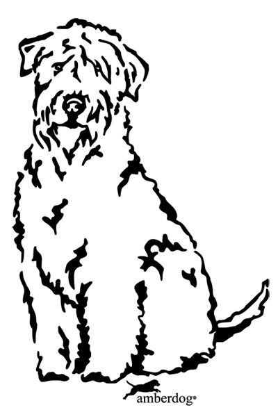400x603 Wheaten Terrier Drawing