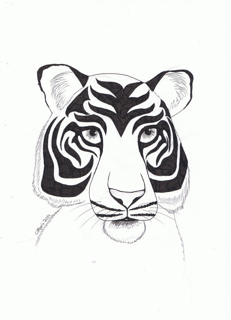 759x1052 Tiger Portrait