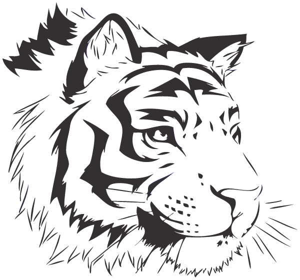 600x560 Bengal Tiger Vector Image Free, Free Vectors