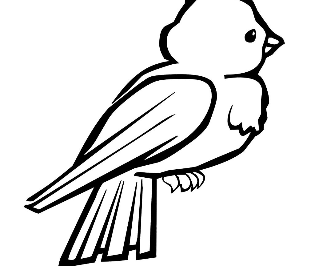 1024x864 Birds Coloring Pages For Preschool Printable Page Of Free Animals