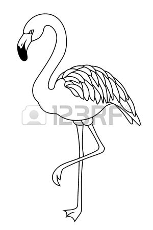 300x450 Flamingo Black White Bird Isolated Illustration Vector Royalty