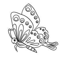 220x220 Black And White Butterfly Coloring Pages