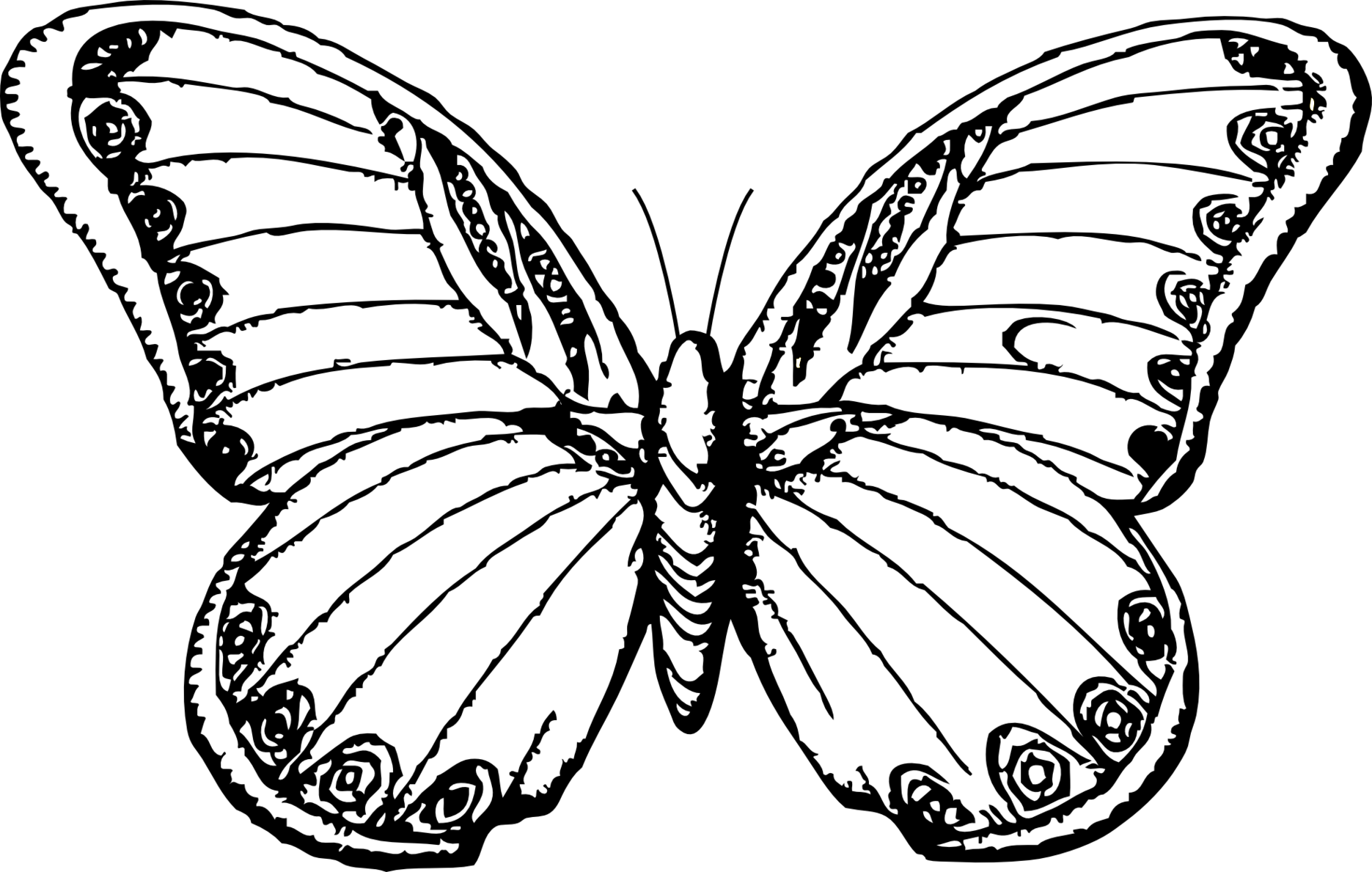 1871x1189 Butterflies Coloring Lovers