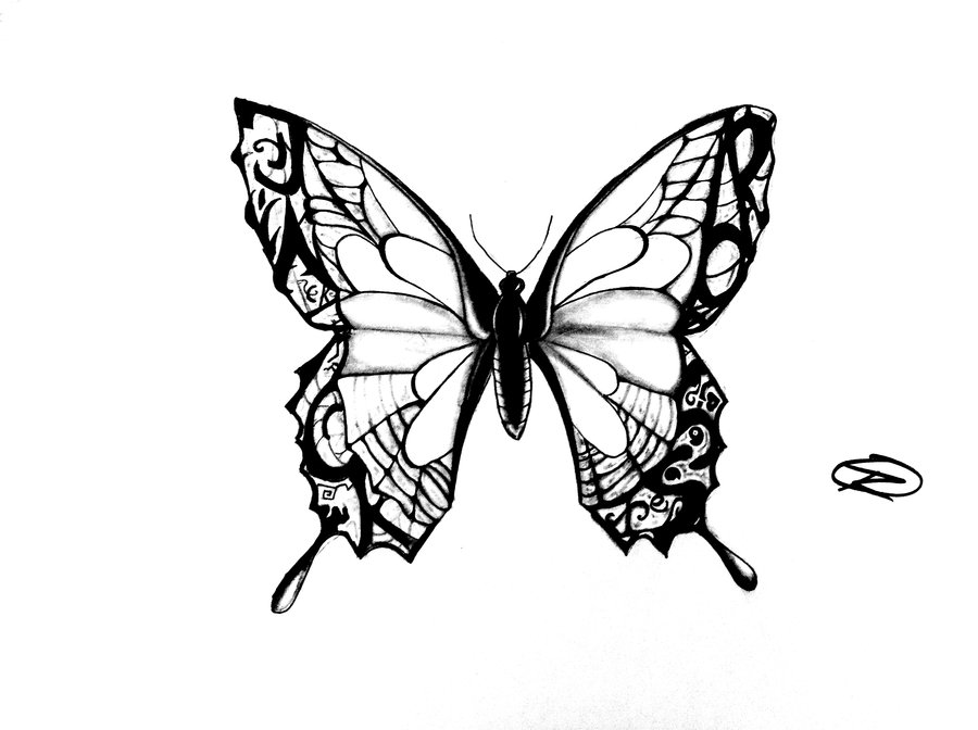 900x672 Butterfly Tattoo Design By Odrozz