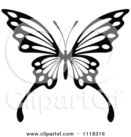 450x470 Clipart Of A Black And White Butterfly 8
