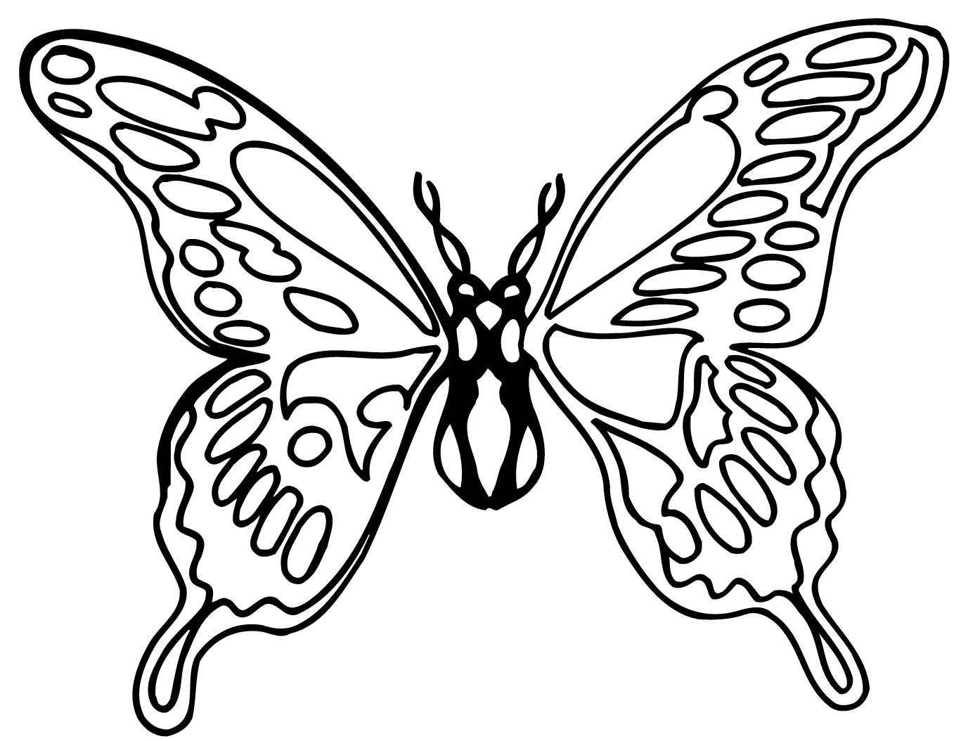 1367x1054 Flower Butterfly Black And White Drawing How To Draw A Butterfly