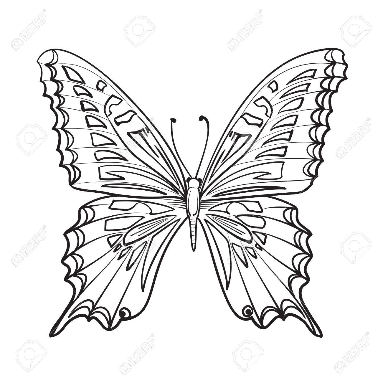 1300x1300 Flying Butterfly Card. Beautiful Black And White Butterfly