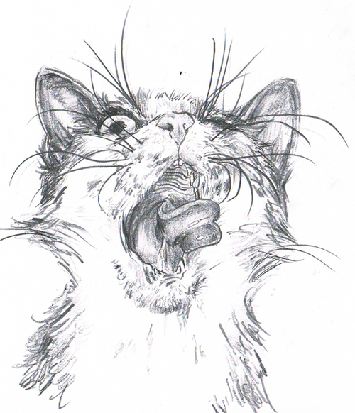 500x582 Lost Mind Via Tumblr On We Heart It