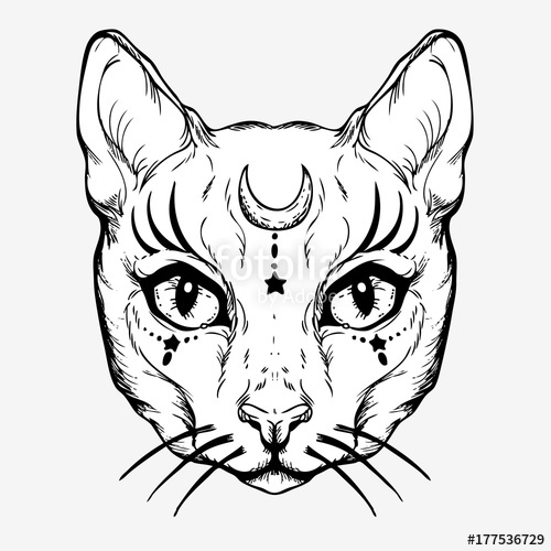 500x500 Pagan Magical White Cat With The Symbol Of The Moon. Gothic